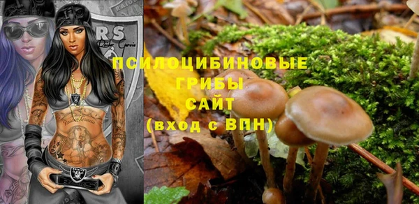 эйфоретик Алексеевка