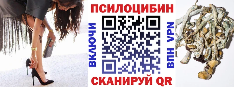 блэк спрут зеркало  Ува  Псилоцибиновые грибы GOLDEN TEACHER 